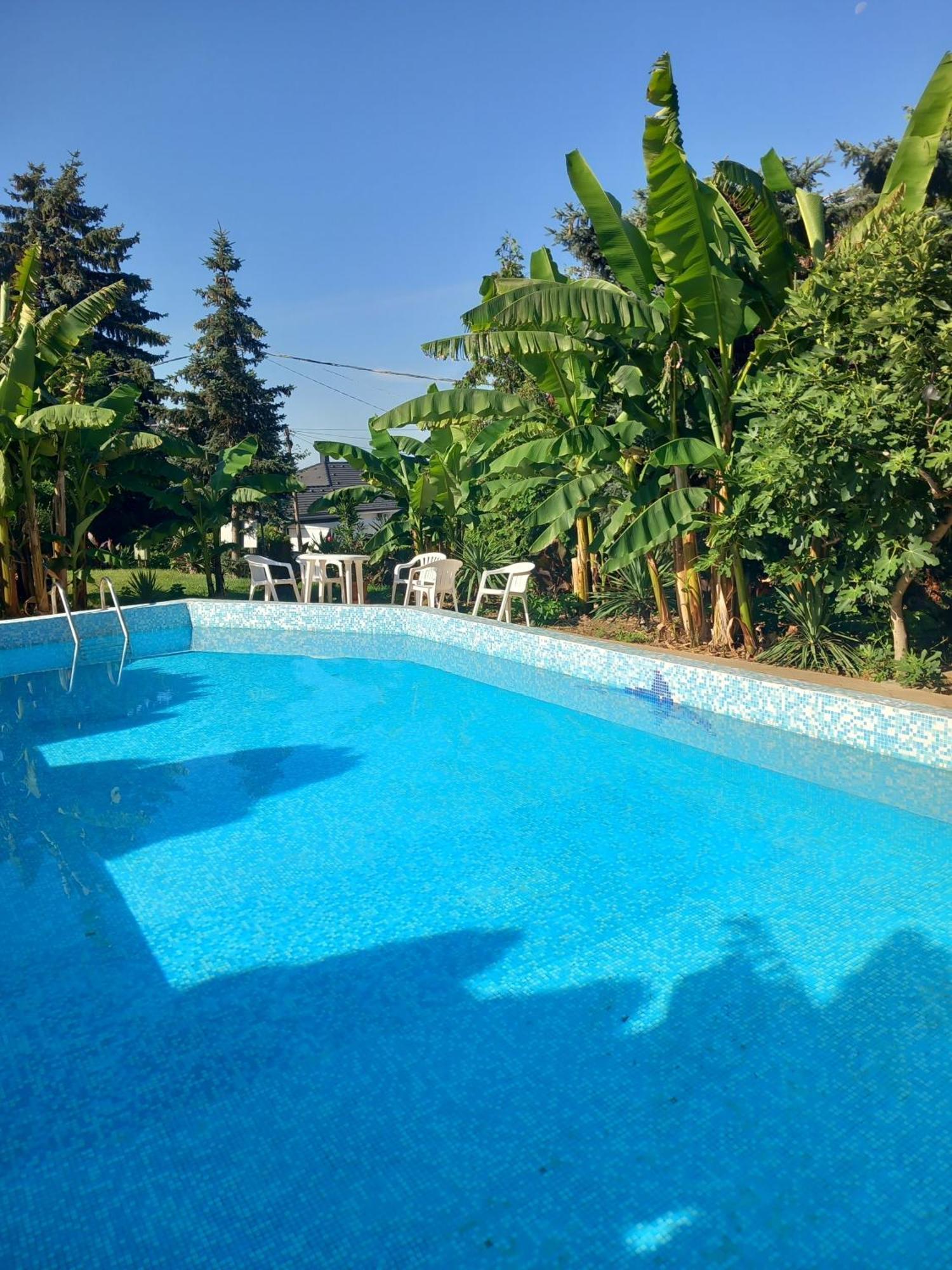 Appartement Palatinus *